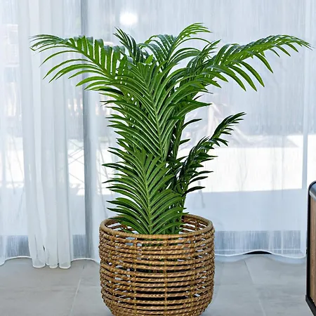 Mika A 5min De La Villa