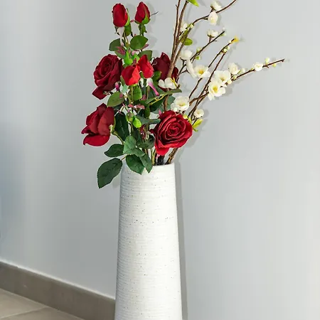 Mika A 5min De La * Sérignan